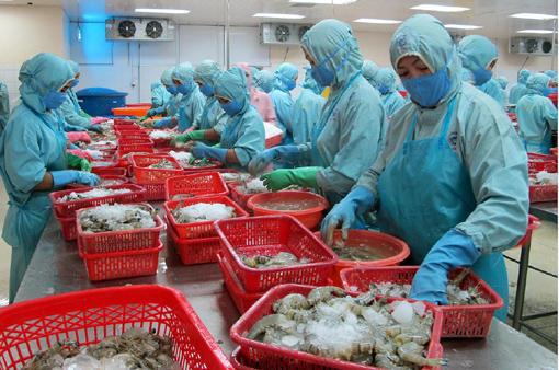 VASEP kháng kiện chống bán phá giá tôm ảnh 1
